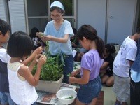 �̌��w�K_���ؐ�